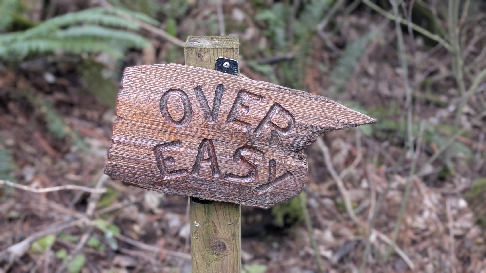 A sign that reads 'Over Easy' indicating the start of the Over Easy trail on Vedder Mountain